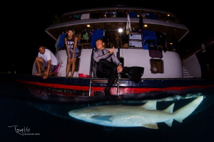 Nurse sharks around the boat in the evening by Tony Ho 
